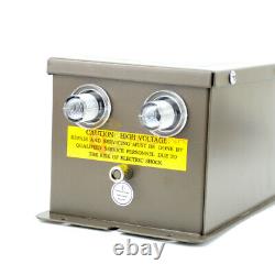 4.6KV 110V/220V High Voltage Generator Antistatic Ionizing Air Gun Electrostatic
