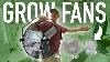 Ultimate Guide On Grow Fans For Indoor Farms Gardens U0026 Agricultures